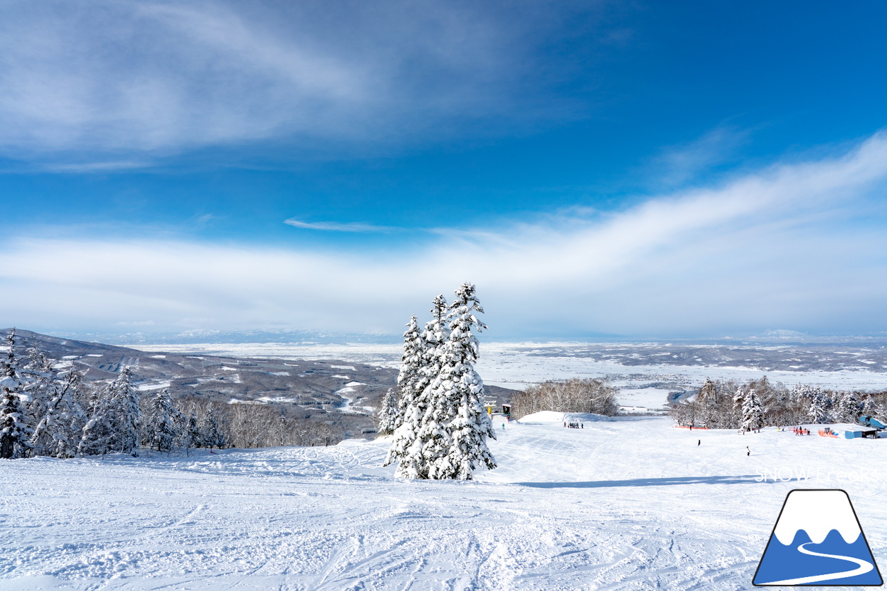 カムイスキーリンクス｜この上ないほど澄んだ青空と極上のパウダースノー。やっぱり『カムイ』は外れない！